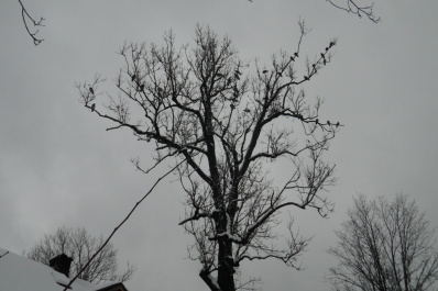 photo 169972
