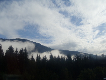 photo 200388
