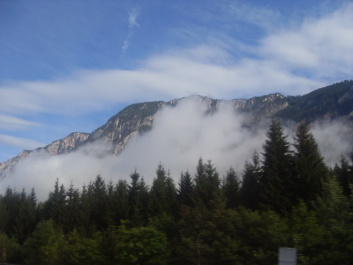photo 200389