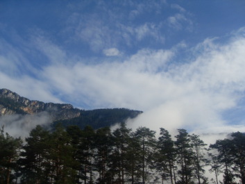 photo 200390