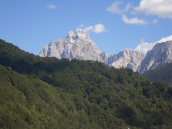 photo 200391