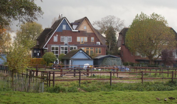 SDC11391