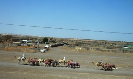 photo 200355