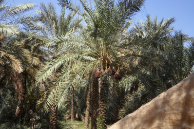 photo 200363
