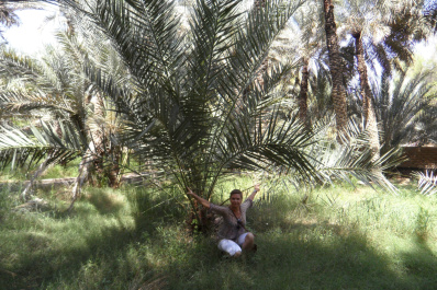 photo 200367