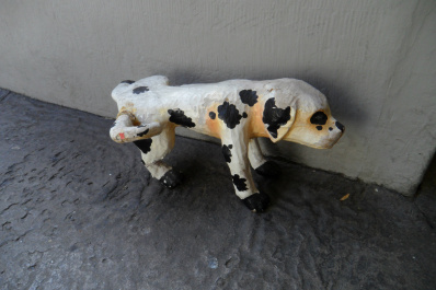 photo 174399