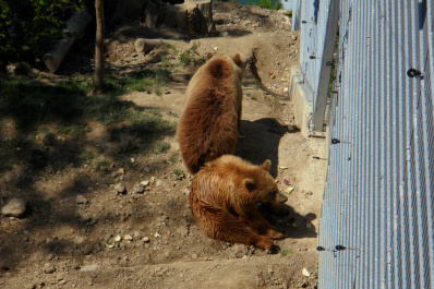 photo 174430