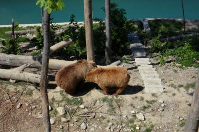photo 174431