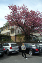 photo 178104