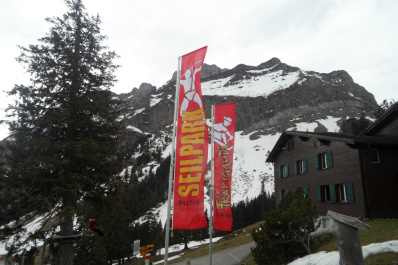 photo 178153