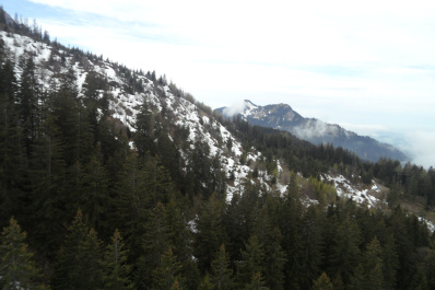 photo 178155
