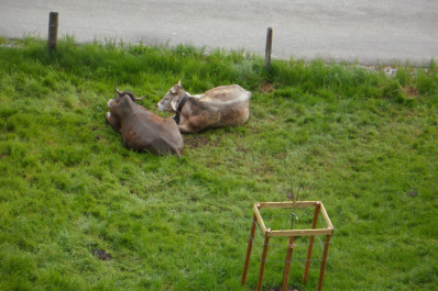 photo 178161