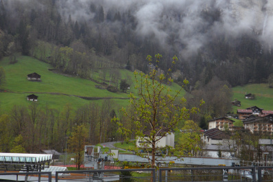 photo 179424