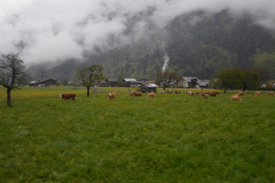 photo 179429