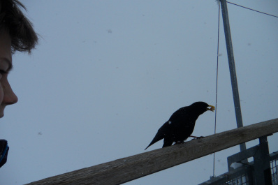 photo 179461