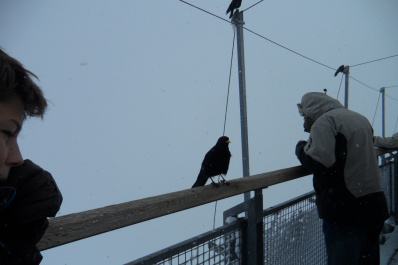 photo 179462