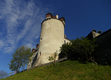 photo 179646