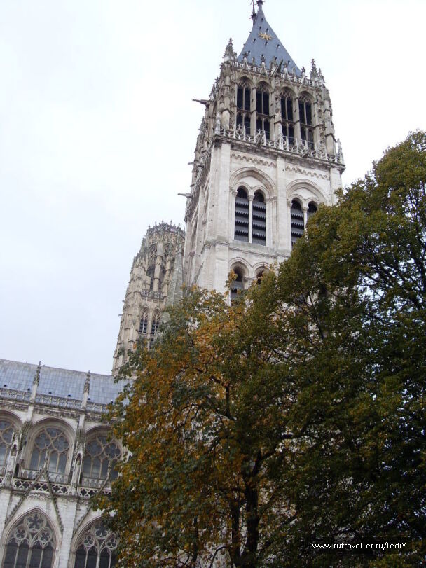 photo 185657