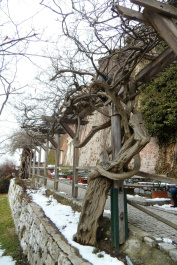 photo 287728