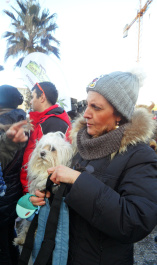 photo 287845