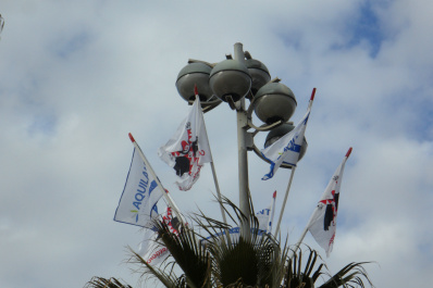 photo 287863