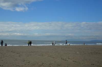 photo 287870