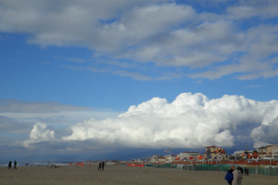 photo 287871