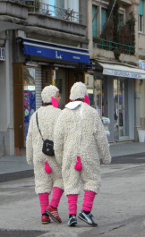 photo 287873