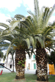 photo 287874