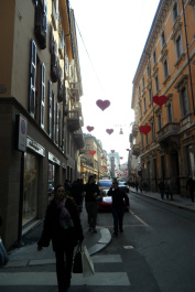 photo 288457