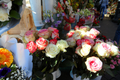 photo 289292