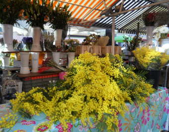 photo 289303