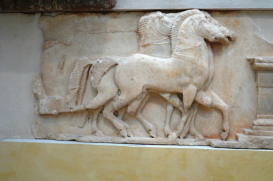 photo 494591