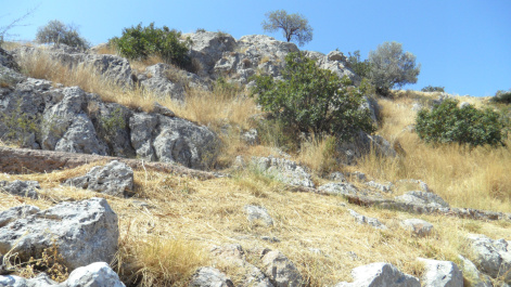 photo 494696