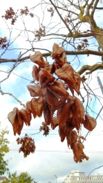 photo 602844