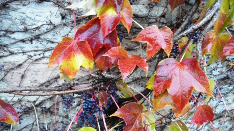 photo 603625