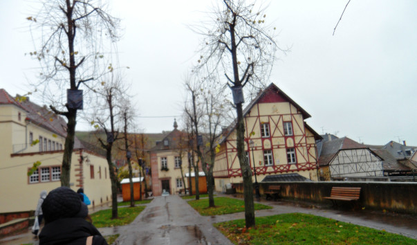 SAM_4677
