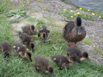 photo 741230