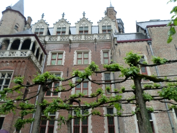 photo 827866