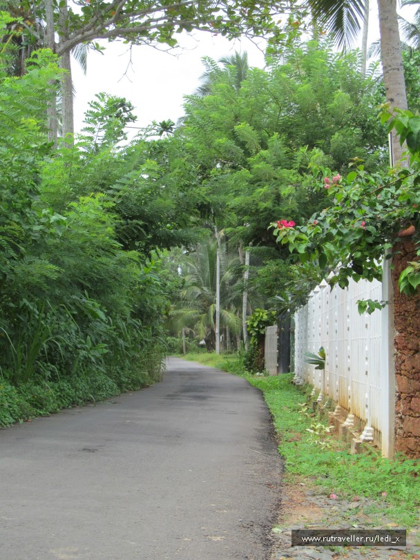 photo 933431