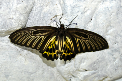 photo 281030