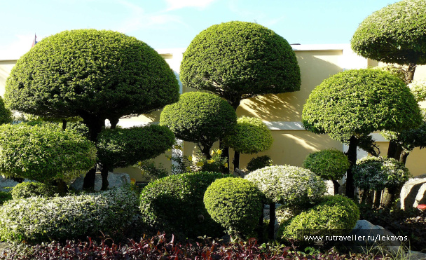 photo 48619