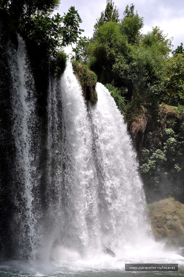photo 44555