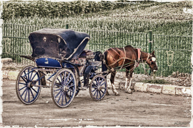 photo 171843