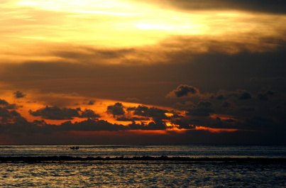 photo 224411