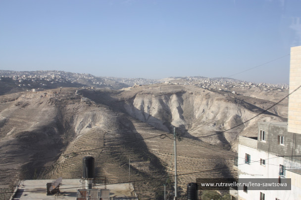 photo 1484830