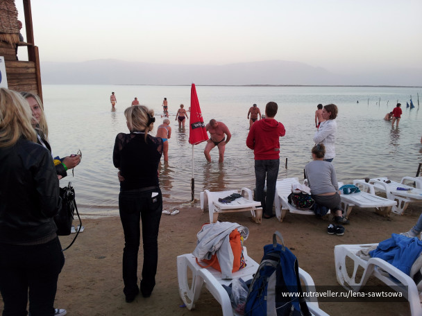 photo 1484854
