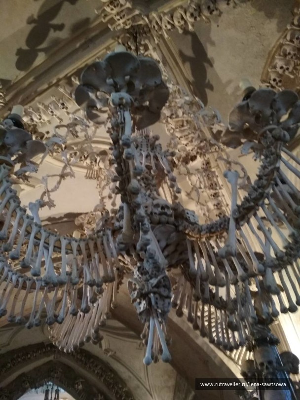 photo 1587473