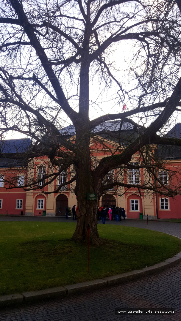 photo 1587493