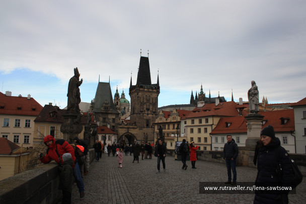 photo 1587499
